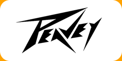 Assistência Técnica FENDER em São Paulo - Assistência Técnica Soul Music - Marcas 04